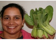 SPRAY FREE PAK CHOY  Per Bunch Katikati Grown